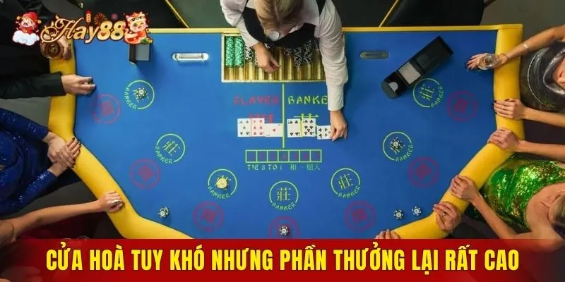 Cửa hoà tuy khó nhưng phần thưởng lại rất cao